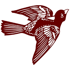 meet logo
